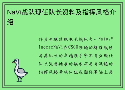 NaVi战队现任队长资料及指挥风格介绍
